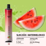 OBS Slim 2000（2）